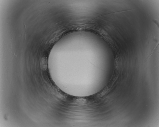 X0000101690471200807101212