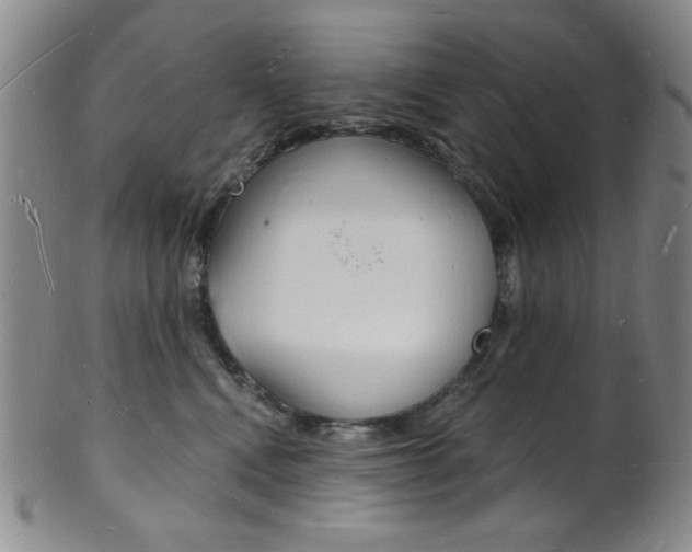 X0000101690472200807101212
