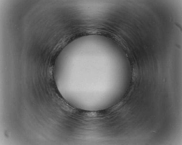 X0000101690473200807101212