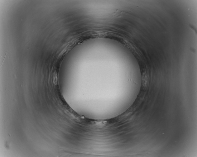 X0000101690474200807101212