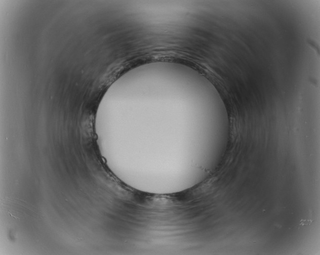 X0000101690475200807101212