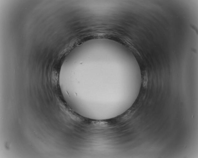 X0000101690476200807101212