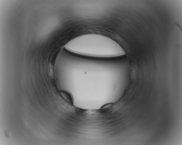 X0000101690477200807101212