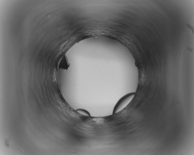 X0000101690478200807101212
