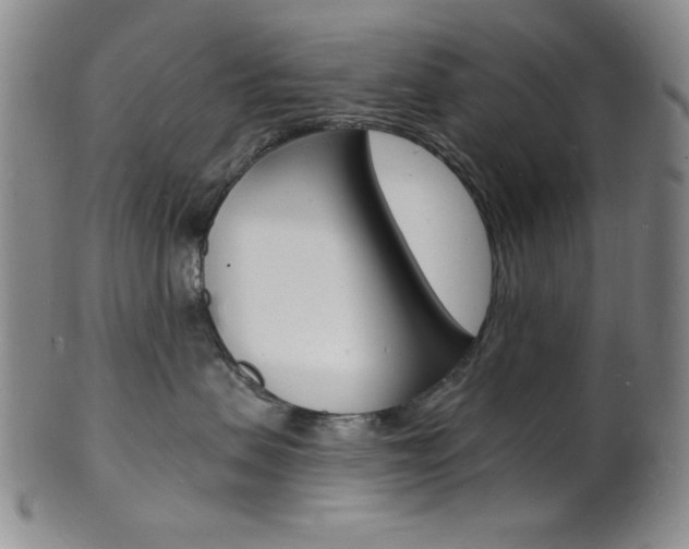 X0000101690479200807101212