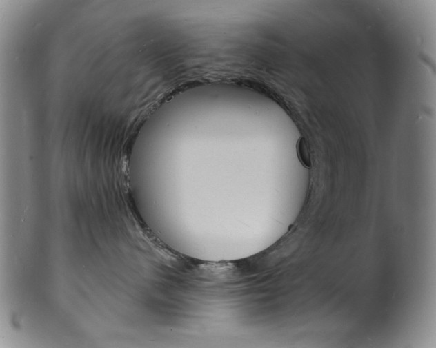 X0000101690480200807101212