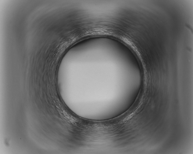 X0000101690481200807101212