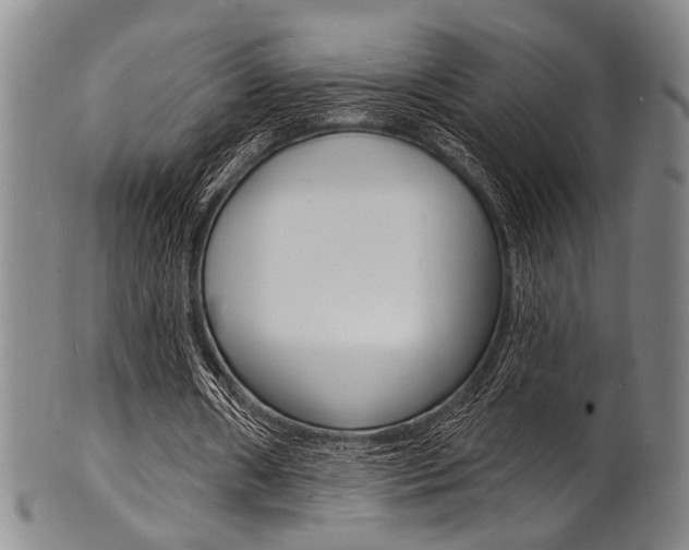 X0000101690482200807101212