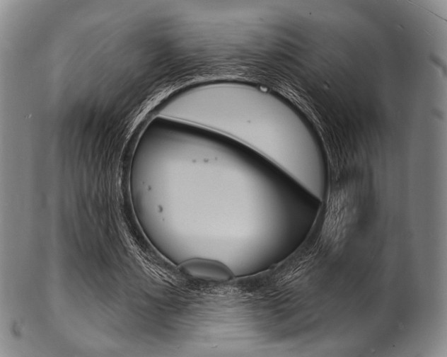 X0000101690483200807101212