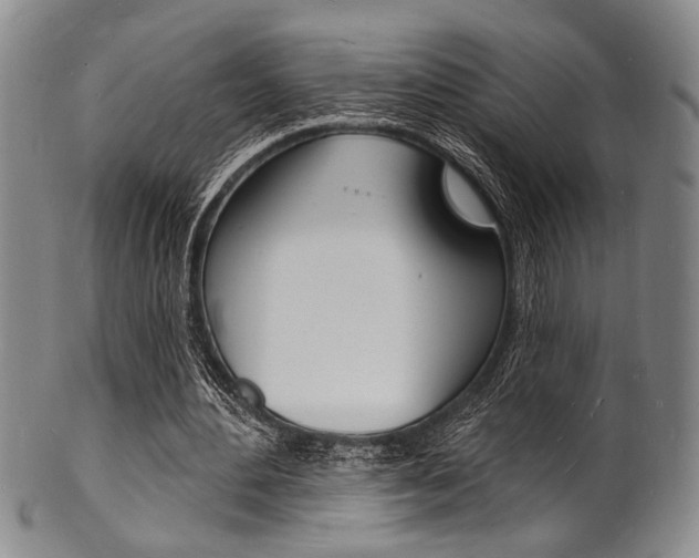 X0000101690484200807101212
