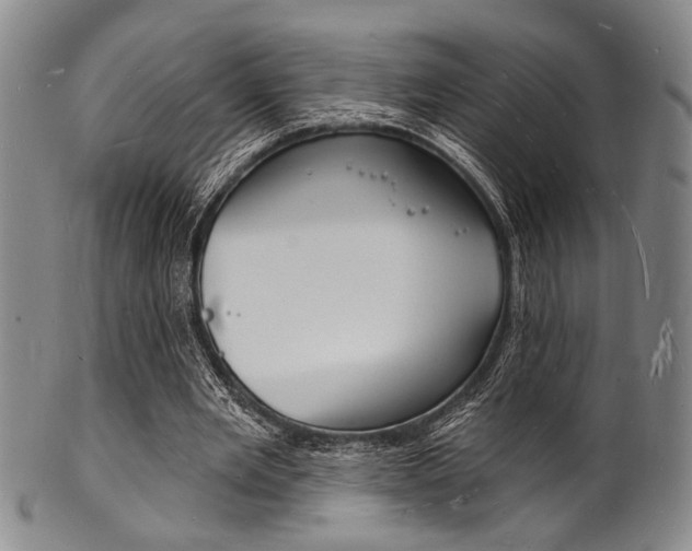 X0000101690485200807101212