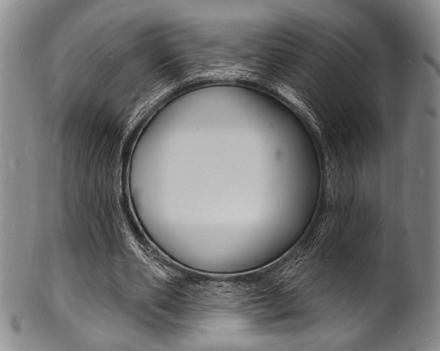X0000101690486200807101212