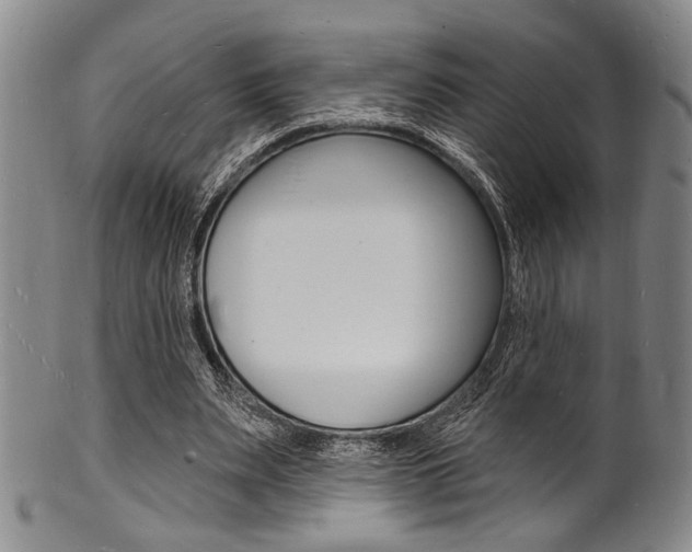 X0000101690487200807101212
