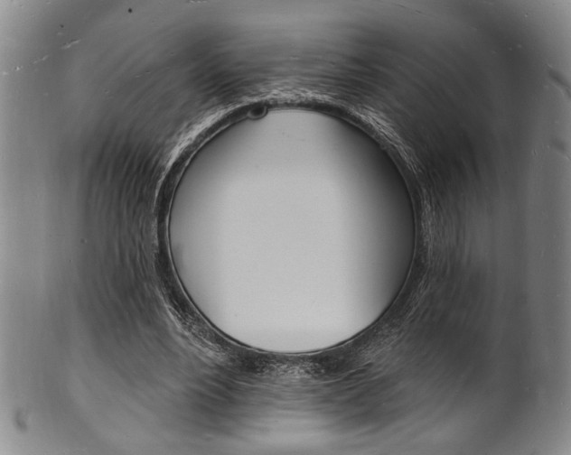 X0000101690488200807101211