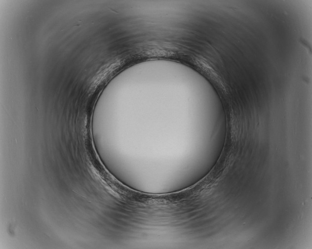 X0000101690490200807101211