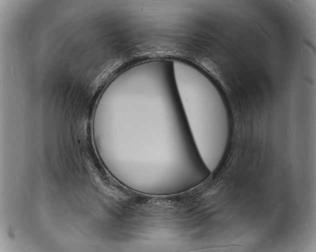 X0000101690491200807101211
