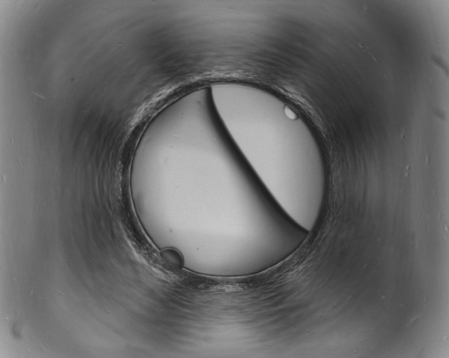 X0000101690492200807101211