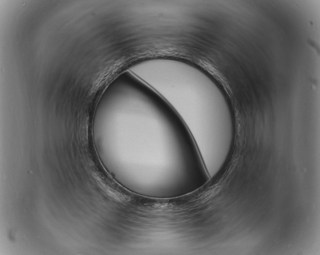 X0000101690493200807101211