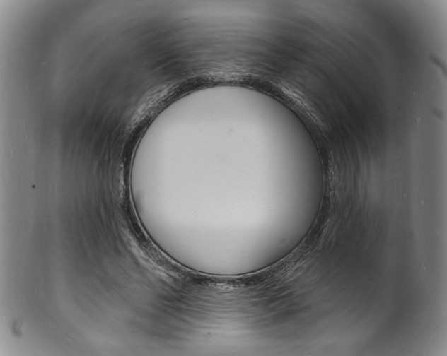 X0000101690494200807101211