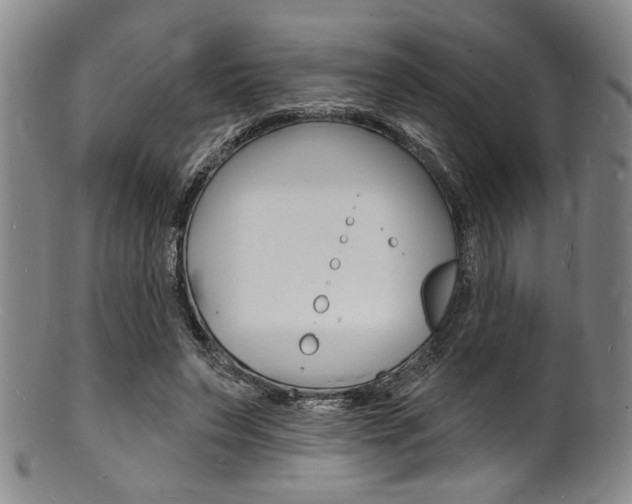 X0000101690495200807101211