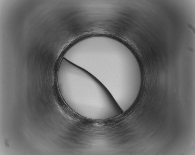 X0000101690496200807101211