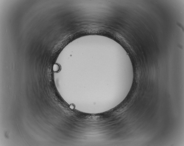 X0000101690497200807101211