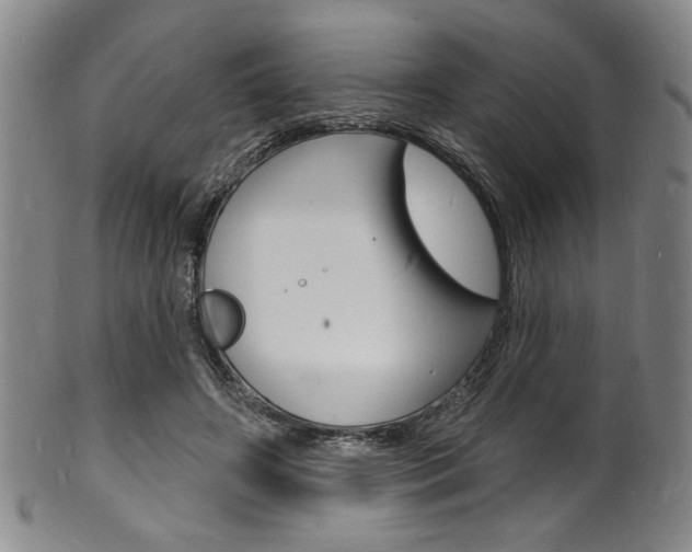 X0000101690498200807101211