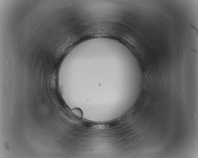 X0000101690499200807101211
