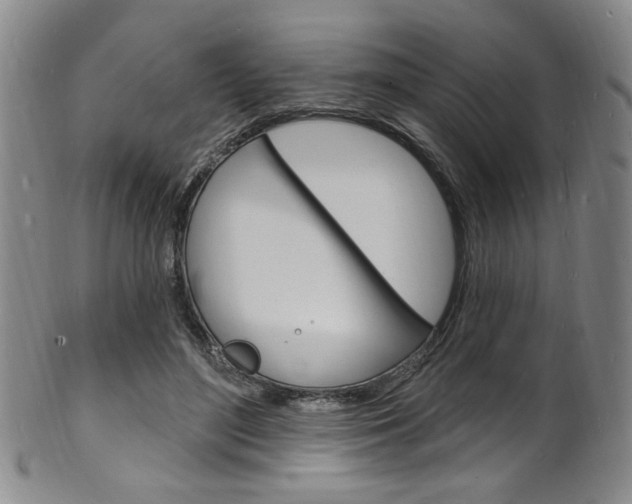 X0000101690500200807101211