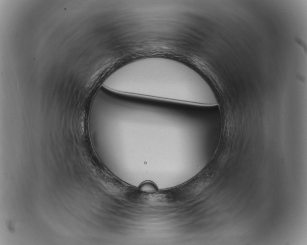 X0000101690501200807101211