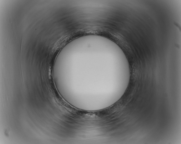 X0000101690502200807101211