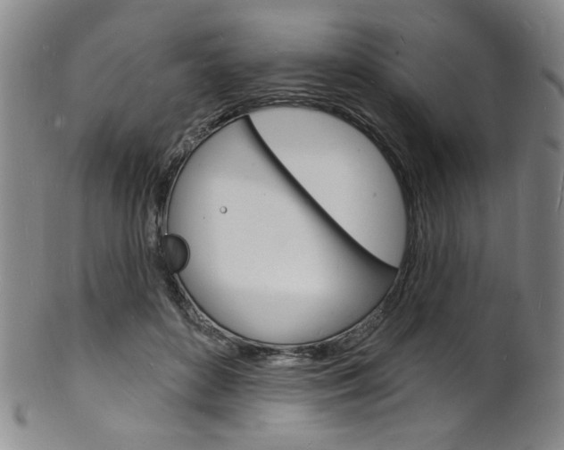 X0000101690504200807101211