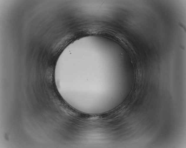 X0000101690505200807101211