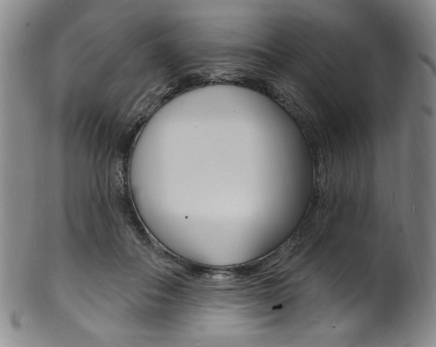 X0000101690506200807101211