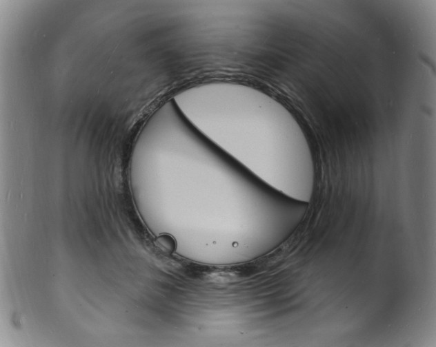 X0000101690508200807101211