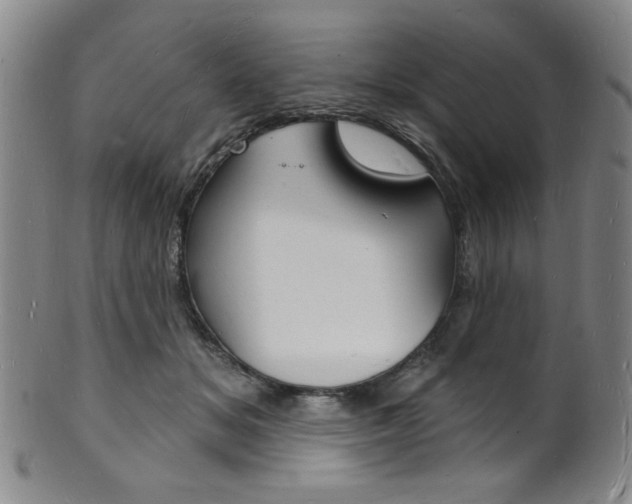 X0000101690509200807101211
