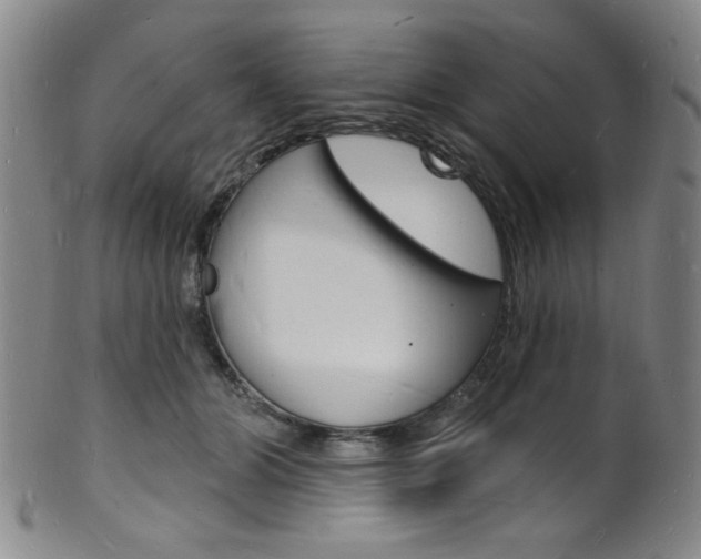 X0000101690510200807101211