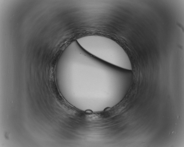 X0000101690511200807101211