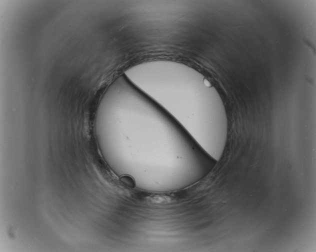 X0000101690512200807101211