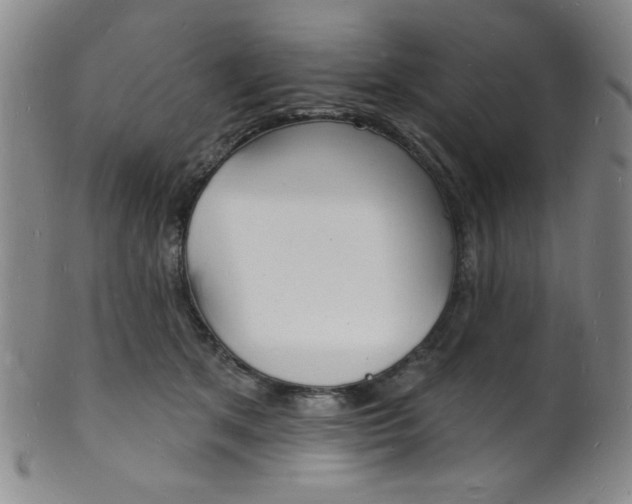 X0000101690513200807101211