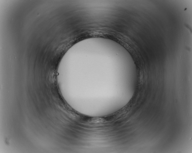 X0000101690514200807101211