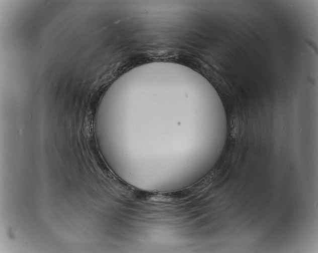 X0000101690515200807101211