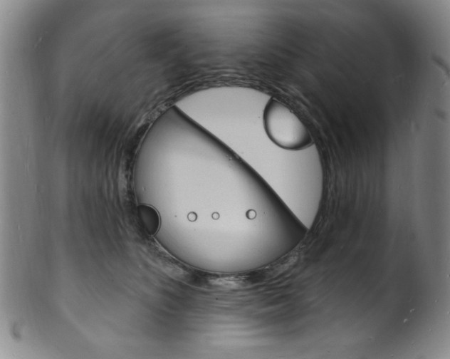 X0000101690516200807101211