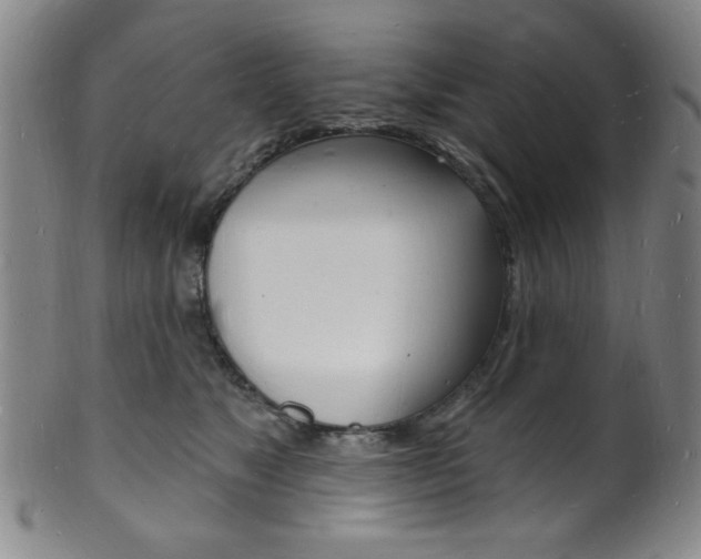 X0000101690517200807101211