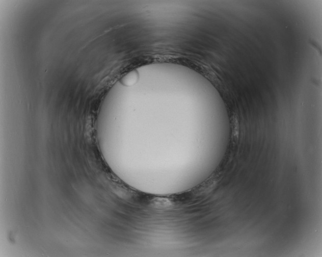 X0000101690519200807101211