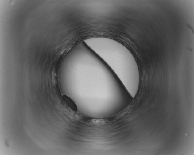 X0000101690520200807101211