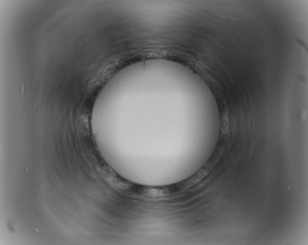 X0000101690522200807101211