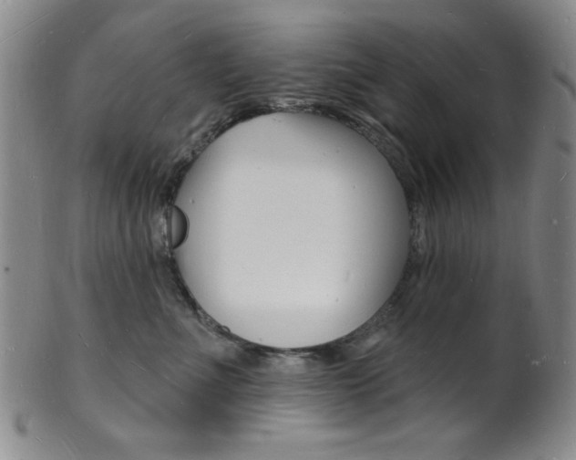 X0000101690523200807101211