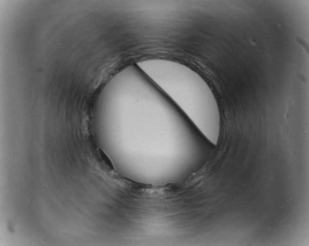 X0000101690524200807101211
