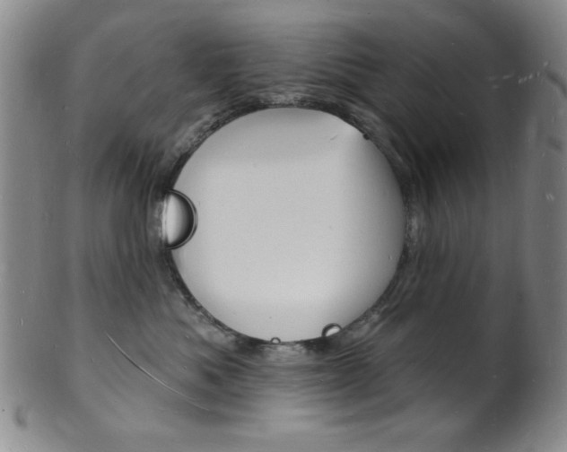 X0000101690525200807101211